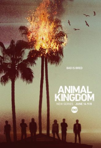 مسلسل Animal Kingdom US الموسم الثالث ( 2018 ) كامل مترجم برابط واحد لينك مباشر