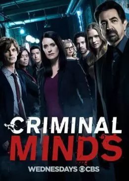 مسلسل Criminal Minds الموسم الرابع عشر ( 2018 ) كامل مترجم برابط واحد لينك مباشر