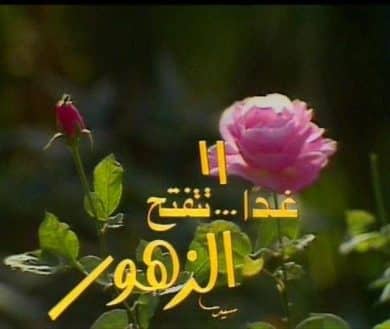 مسلسل غداَ تتفتح الزهور  (1984) كامل على رابط واحد تحميل مباشر لينك واحد